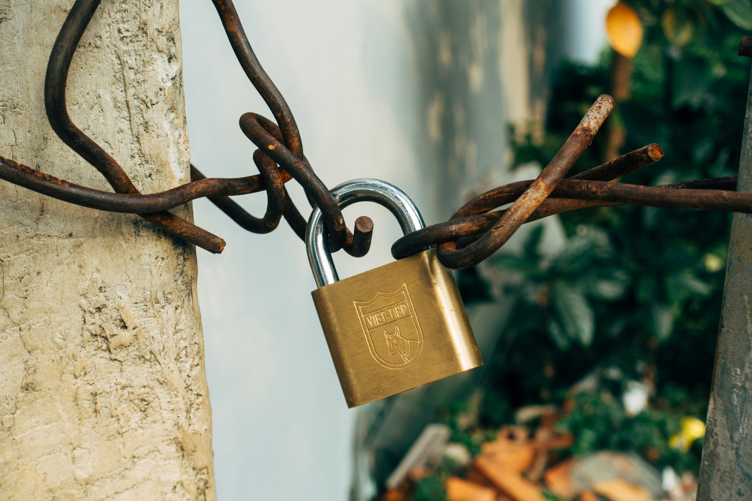 The EU – US Privacy Shield Invalidated: The Impact on Digital Marketing